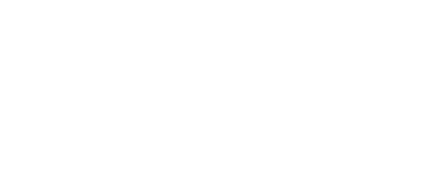 Vivacity logo